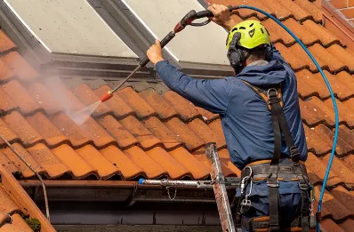 Démoussage et hydrofuge de toiture à Lolme